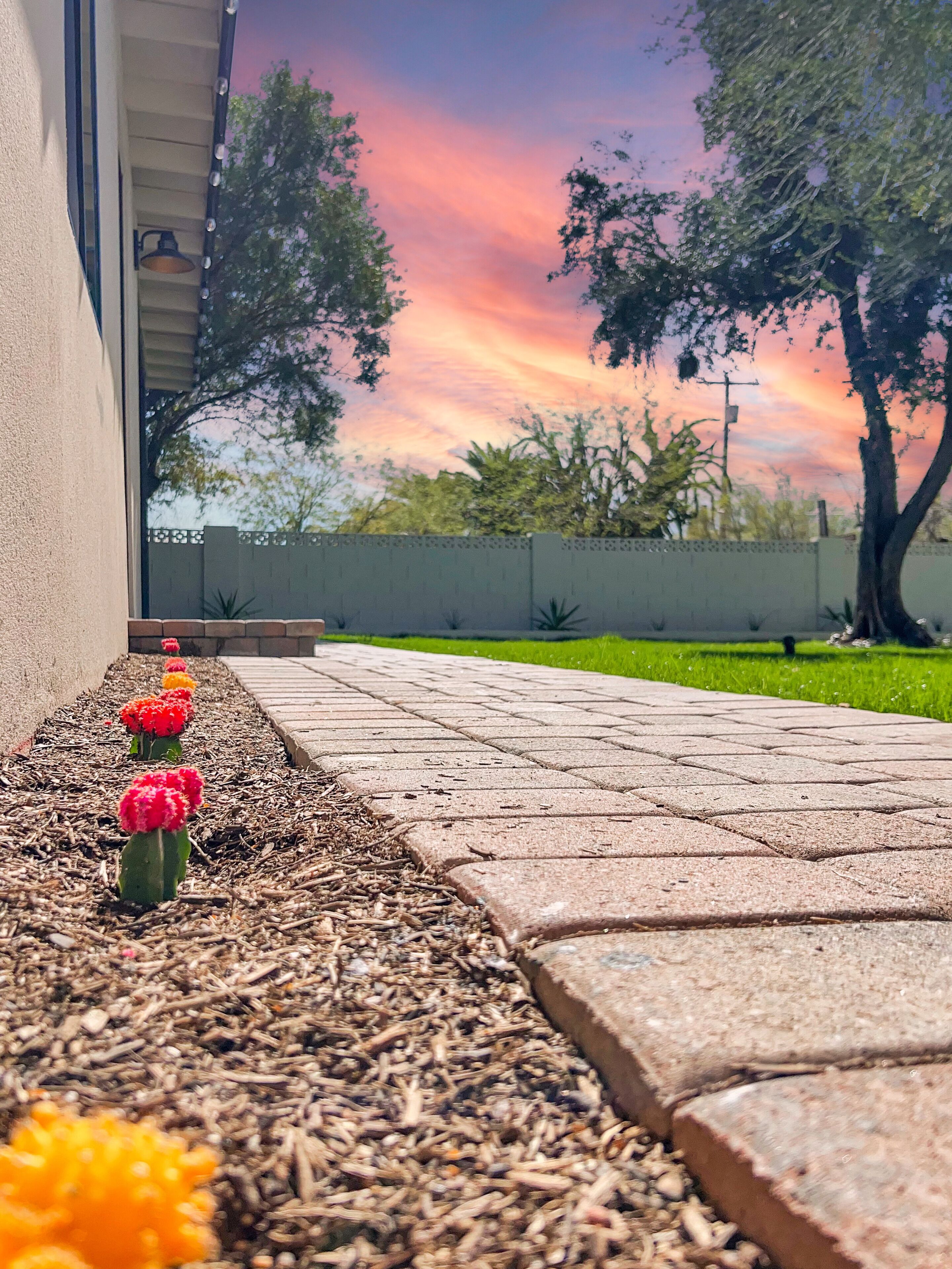 Park Views! Center of Phoenix! Amazing Remodel!