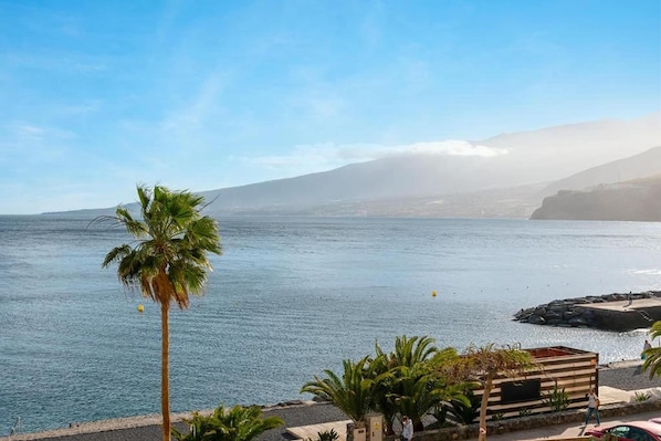 A coastal view with a clear sky, a palm tree, and a wooden structure near the water.