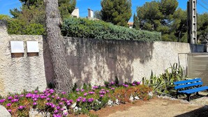 A garden with purple flowers, a tree, and a blue bench.
