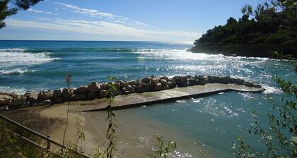 Seaside house under the pines, calm and serenity for a rejuvenating stay