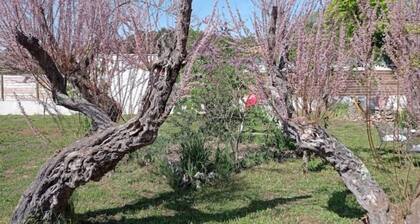 LE Gîte LA Maison DE Papou Le Tilleul