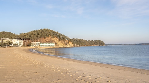 태안 연포 2020 펜션