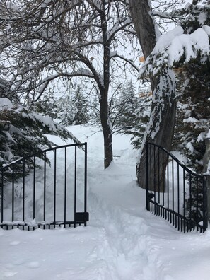A snow-covered pathway leading through a gate into a wooded area. - Auron Chalet Casanova Centre et Pistes à Pied (Saint-Étienne-de-Tinée)