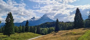 A mountain landscape with a clear sky, a winding path, and dense forest.