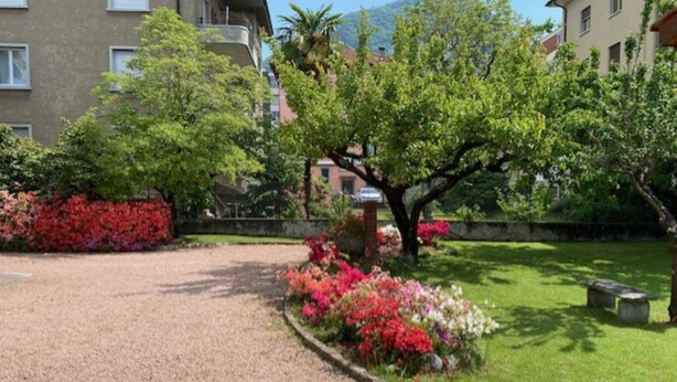 Una zona residencial con camino de grava, césped cuidado y diversas plantas en flor.
