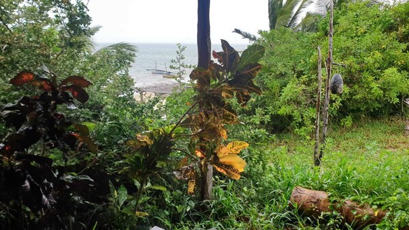 Exterior - Baraka Beach (Vilanculos)