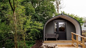 A small, dark-colored cabin with a wooden deck and a bench, surrounded by dense trees. - Long Ashes - Pip (Skipton)