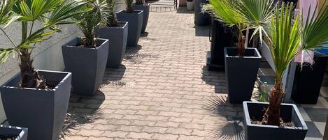 المنطقة المحيطة بالمنشأة