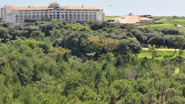Un grand hôtel composé de plusieurs bâtiments, entouré d’une végétation luxuriante et offrant une vue sur la mer.