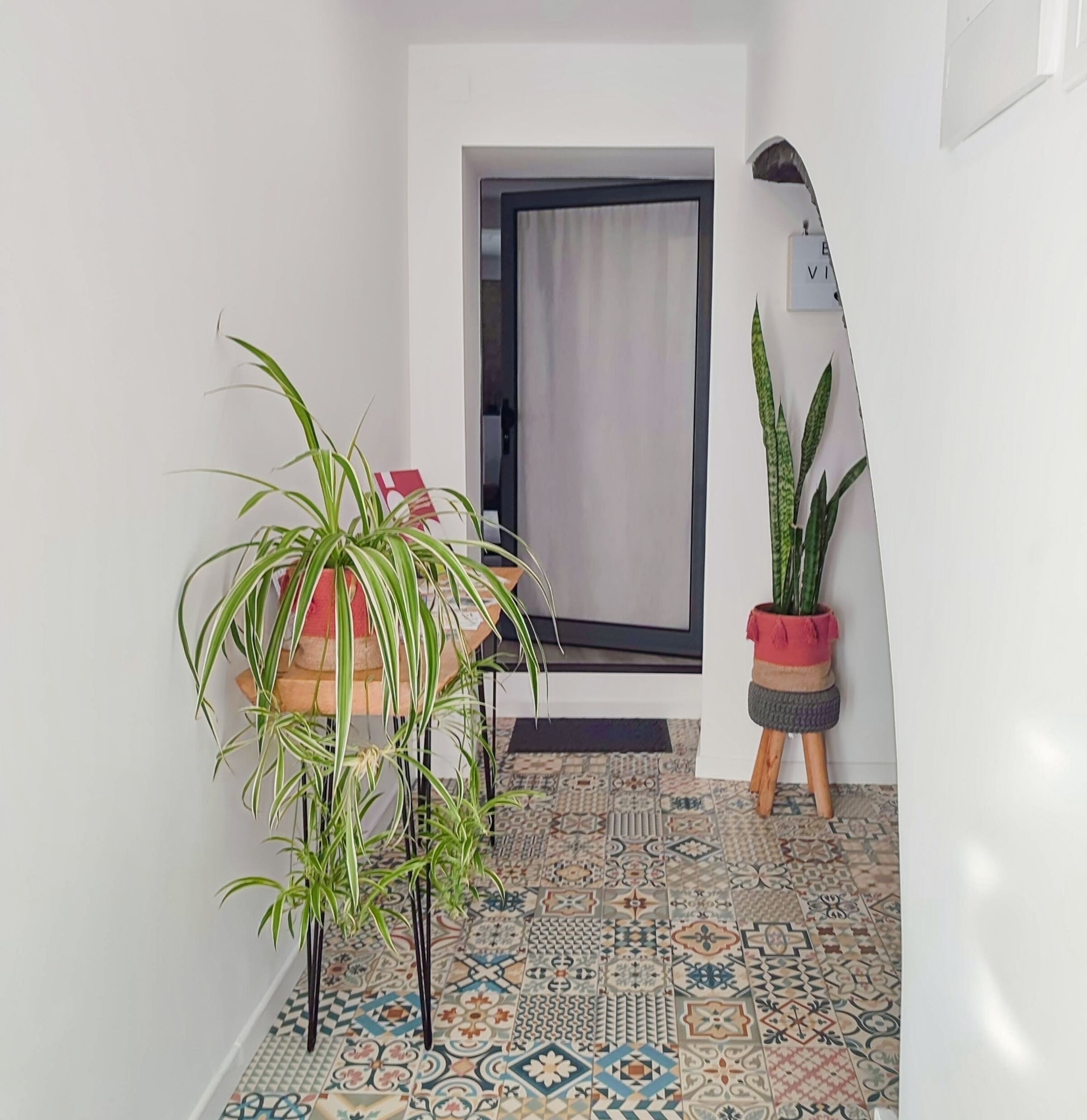 A hallway with patterned floor tiles, a potted plant, and a door with a window.