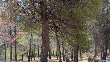 Enceinte de lâhĂ©bergement