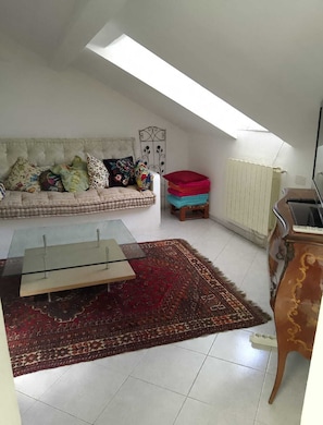 TV, books - Spacious and naturally bright Bomboniera Rooftop Favors apartment (Genova)