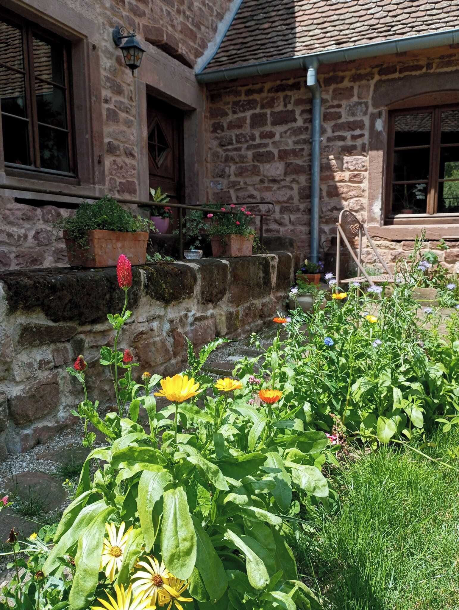 Eksteriør
