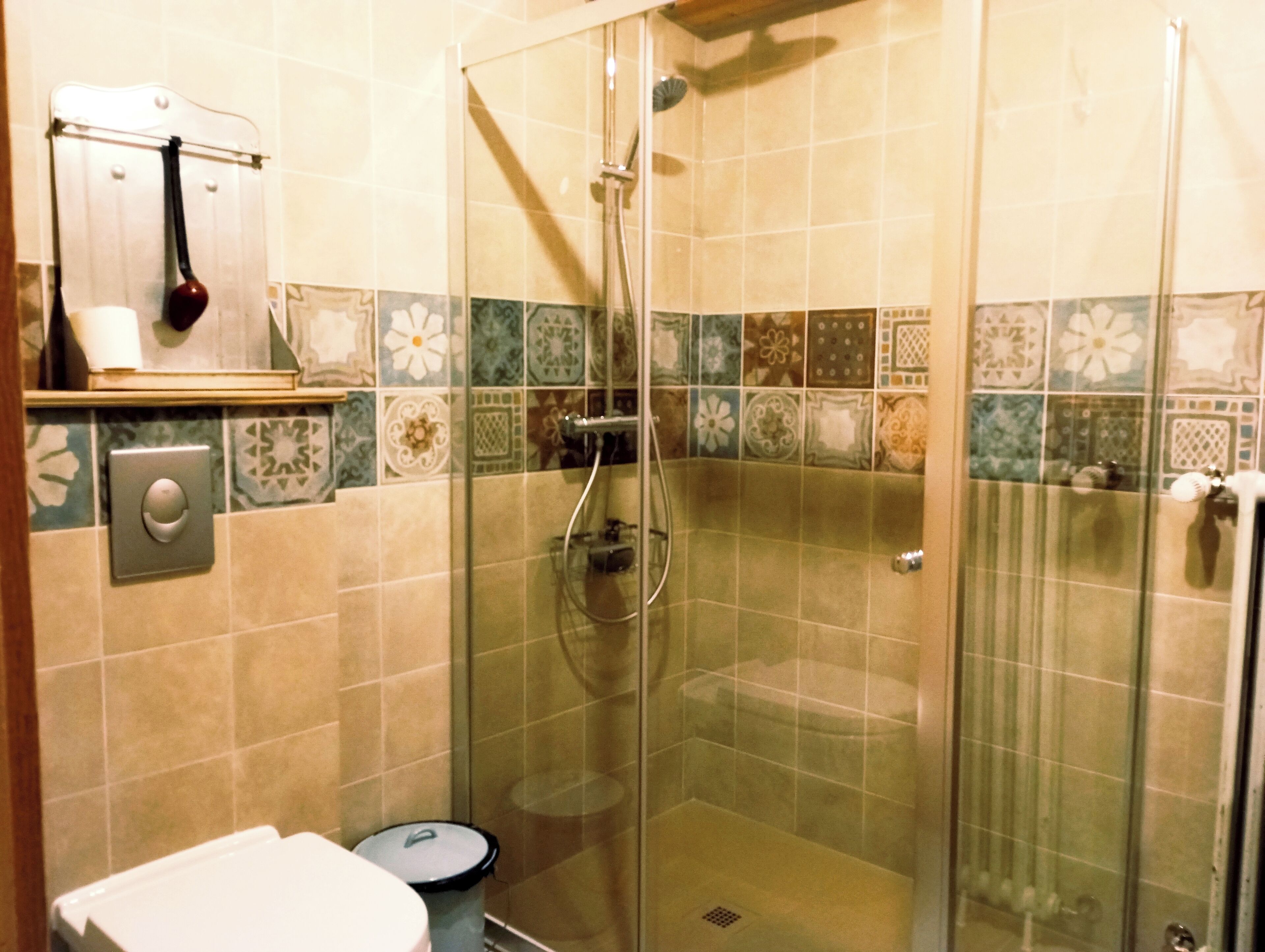 Une douche fermée par des parois en verre, dotée d’un pommeau de douche amovible, ainsi que des toilettes et une poubelle.