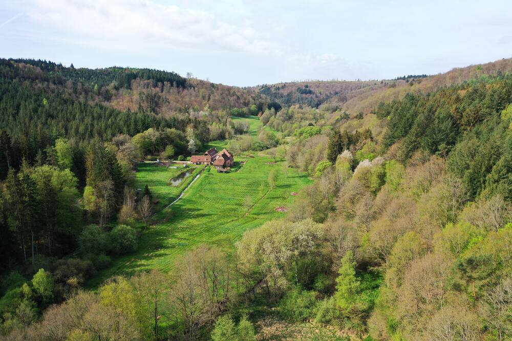 Maison d'hôtes de charme - Ancien moulin en pleine nature - La Paulusmühle