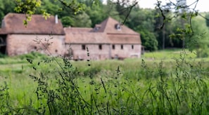 Front of property - Maison d'hôtes de charme - Ancien moulin en pleine nature - La Paulusmühle (Soucht)