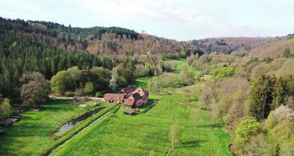 Maison d'hĂŽtes de charme - Ancien moulin en pleine nature - La PaulusmĂŒhle