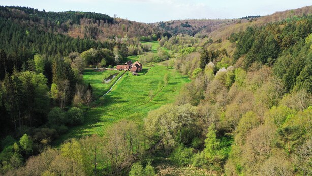 A rural landscape with a house surrounded by lush greenery and a forested hill. - Maison d'hôtes de charme - Ancien moulin en pleine nature - La Paulusmühle (Soucht)