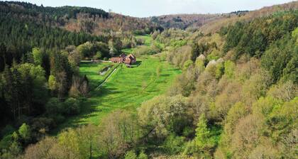 Maison d'hôtes de charme - Ancien moulin en pleine nature - La Paulusmühle