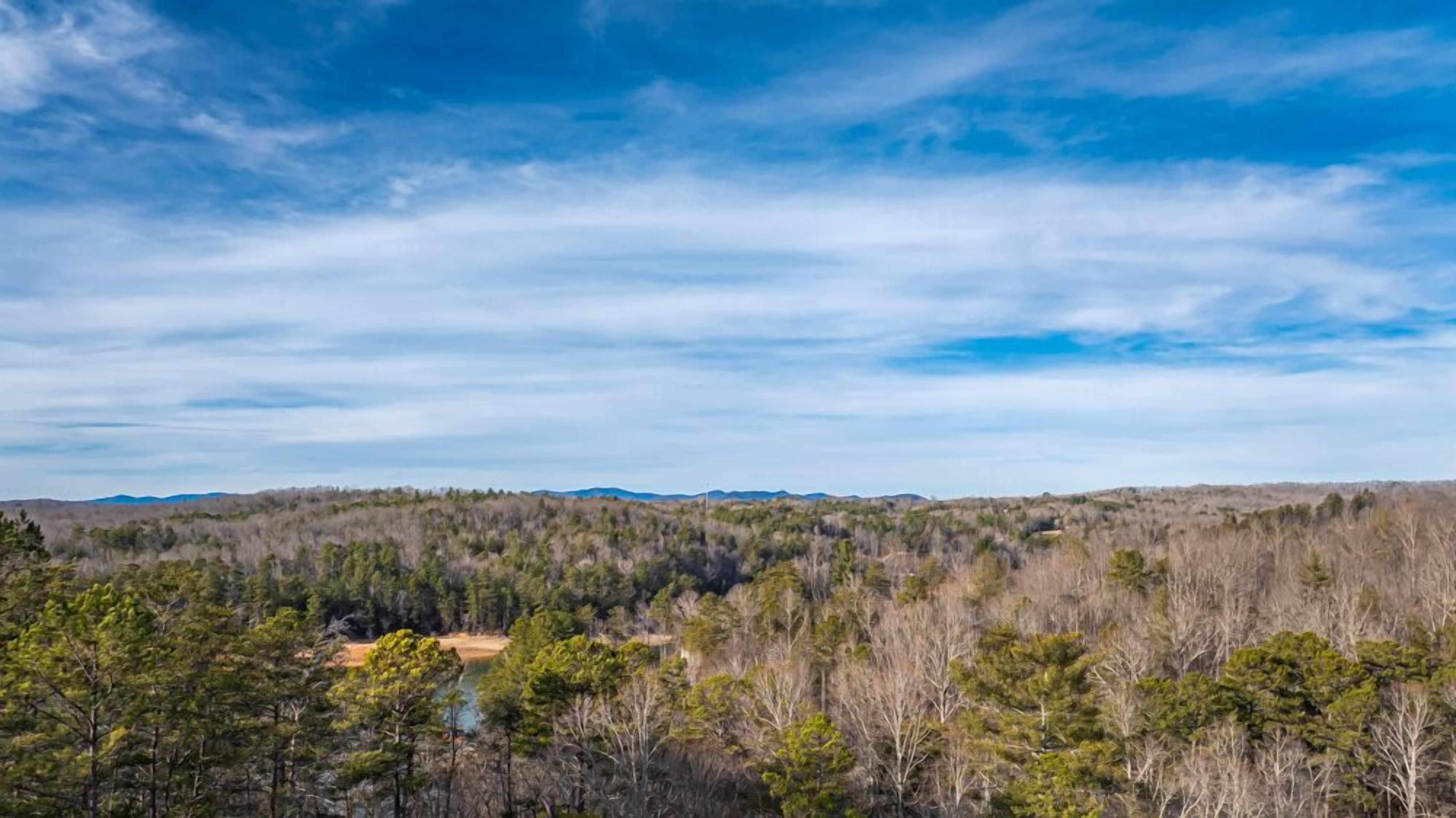 A forested landscape with a clear sky.