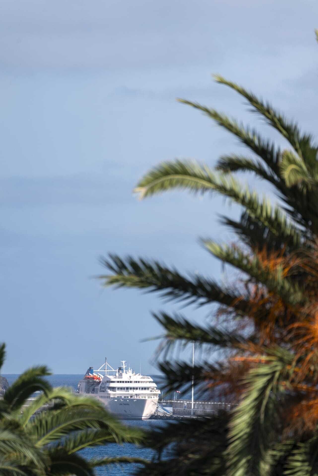 Una nave da crociera ormeggiata in un porto, con palme sullo sfondo.