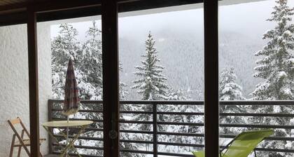 Superbe 2 pcs Cabine Terrasse vue Féérique Pistes