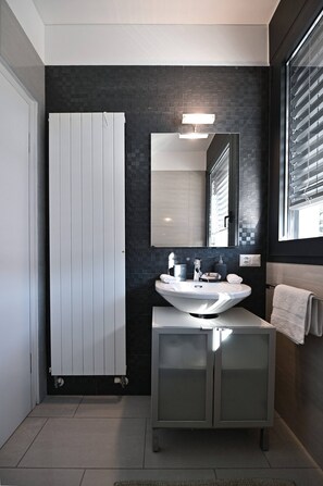 Hair dryer, towels - Central Plaza Apartment 3 in Lugano (Lugano)