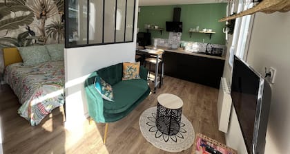 Studio "JUNGLE" - Hyper Centre
