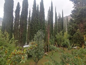 Exterior - Springfield Resort Gilgit (Gilgit)