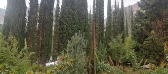 Springfield Resort Gilgit