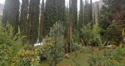 Springfield Resort Gilgit