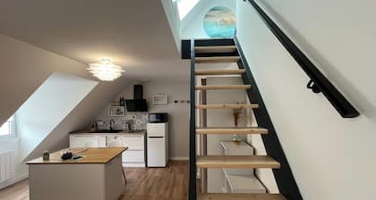 Studio "SCANDINAVE" - Hyper Centre