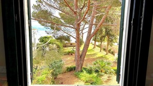 Une fenêtre donnant sur un jardin agrémenté d’un grand arbre, de divers arbustes et d’une pelouse.