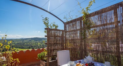Finca Es Castell