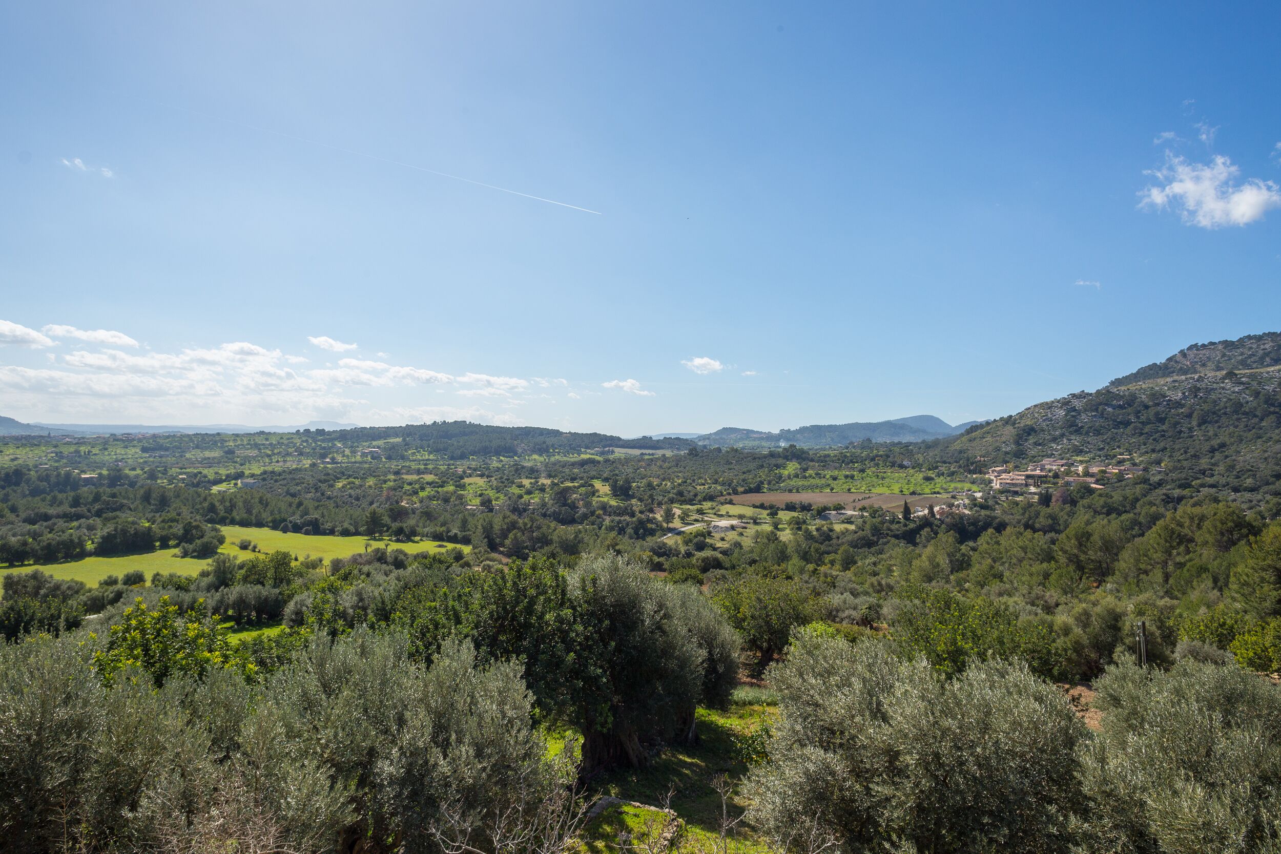 View from property