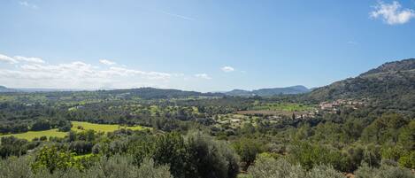 View from property