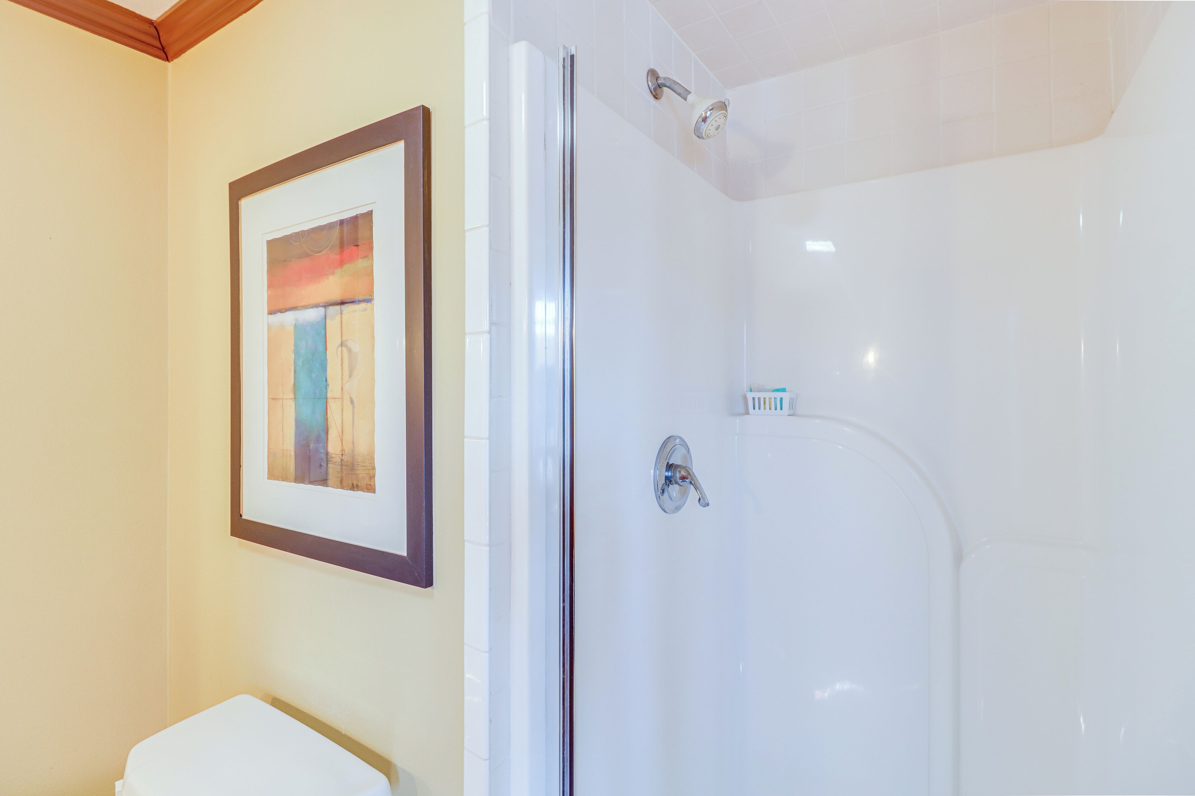 A bathroom with a shower, toilet, and framed artwork on the wall.