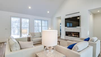 TV, fireplace, books