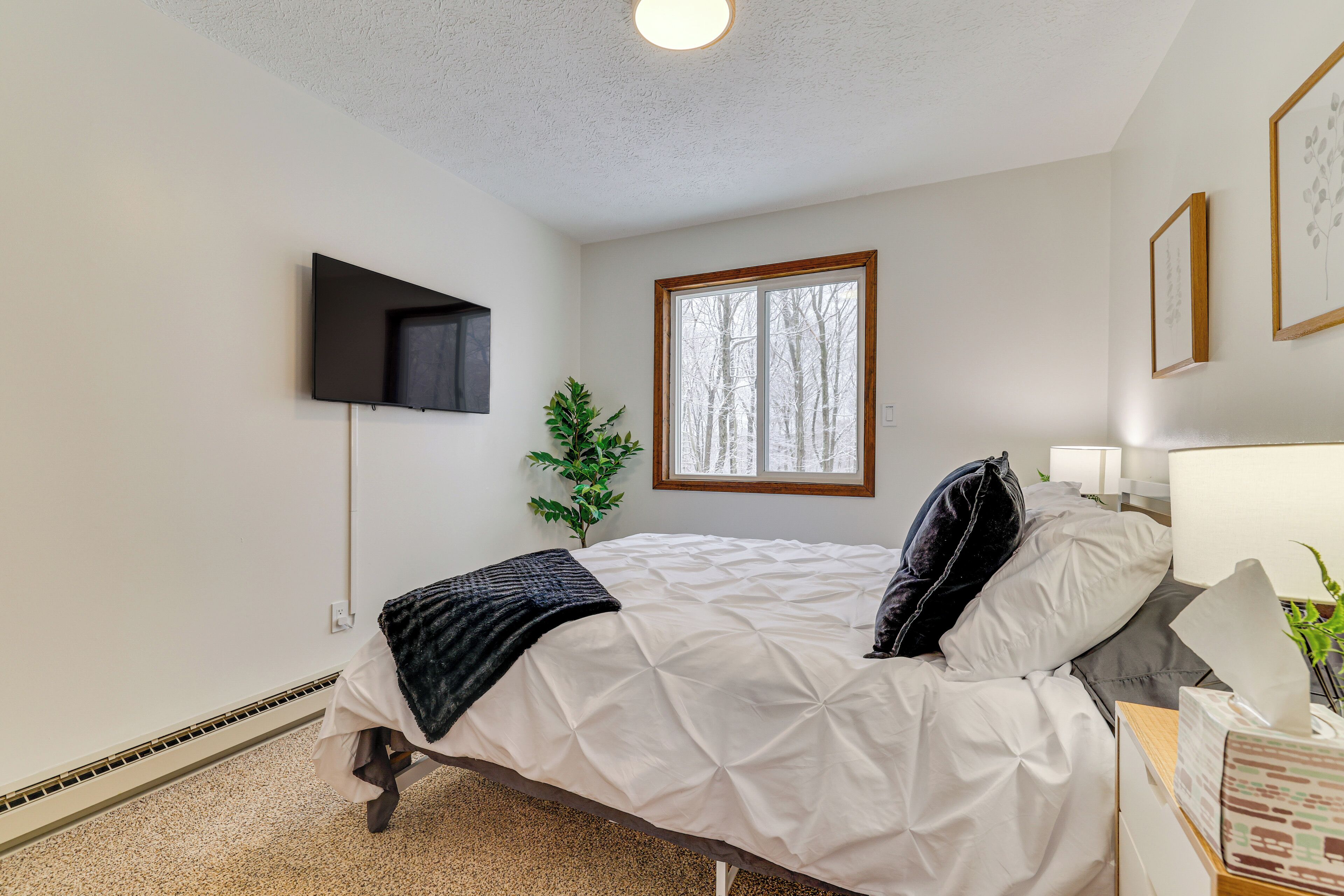 A bedroom with a bed, a TV mounted on the wall, a window with a view of trees, and a bedside table with a lamp and a plant.