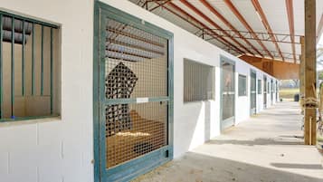 Apartment (0 Bedroom) | Interior