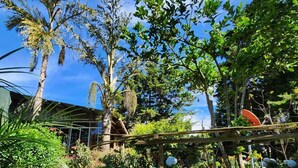 A garden with hydrangea plants, a pergola, and various trees. - Residencial El Cielo a Wonderful Place in the mountain range at Los Naranjos ESV (Los Naranjos)