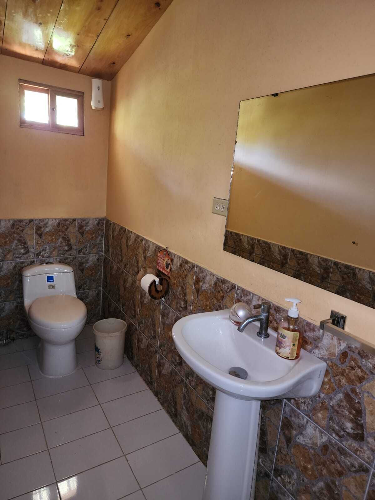 Shower, towels, soap, toilet paper