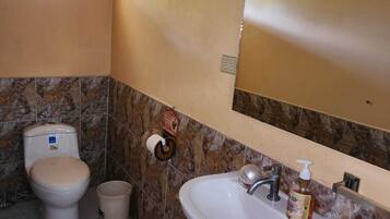 Shower, towels, soap, toilet paper