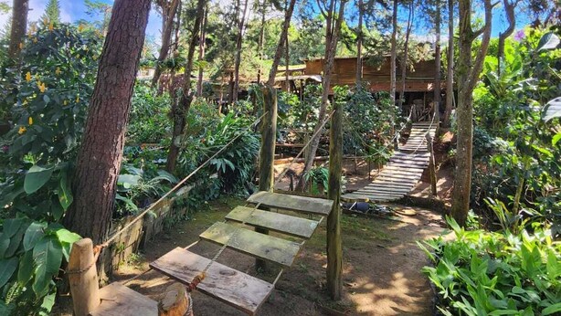 A wooden staircase leading up to a wooden cabin surrounded by dense forest. - Residencial El Cielo a Wonderful Place in the mountain range at Los Naranjos ESV (Los Naranjos)