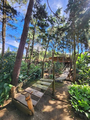 施設の敷地. Residencial El Cielo a Wonderful Place in the mountain range at Los Naranjos ESV