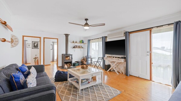 Televisión, chimenea, reproductor de DVD, libros