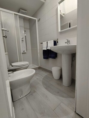Secador de cabelo, toalhas de banho, sabonete, papel higiênico