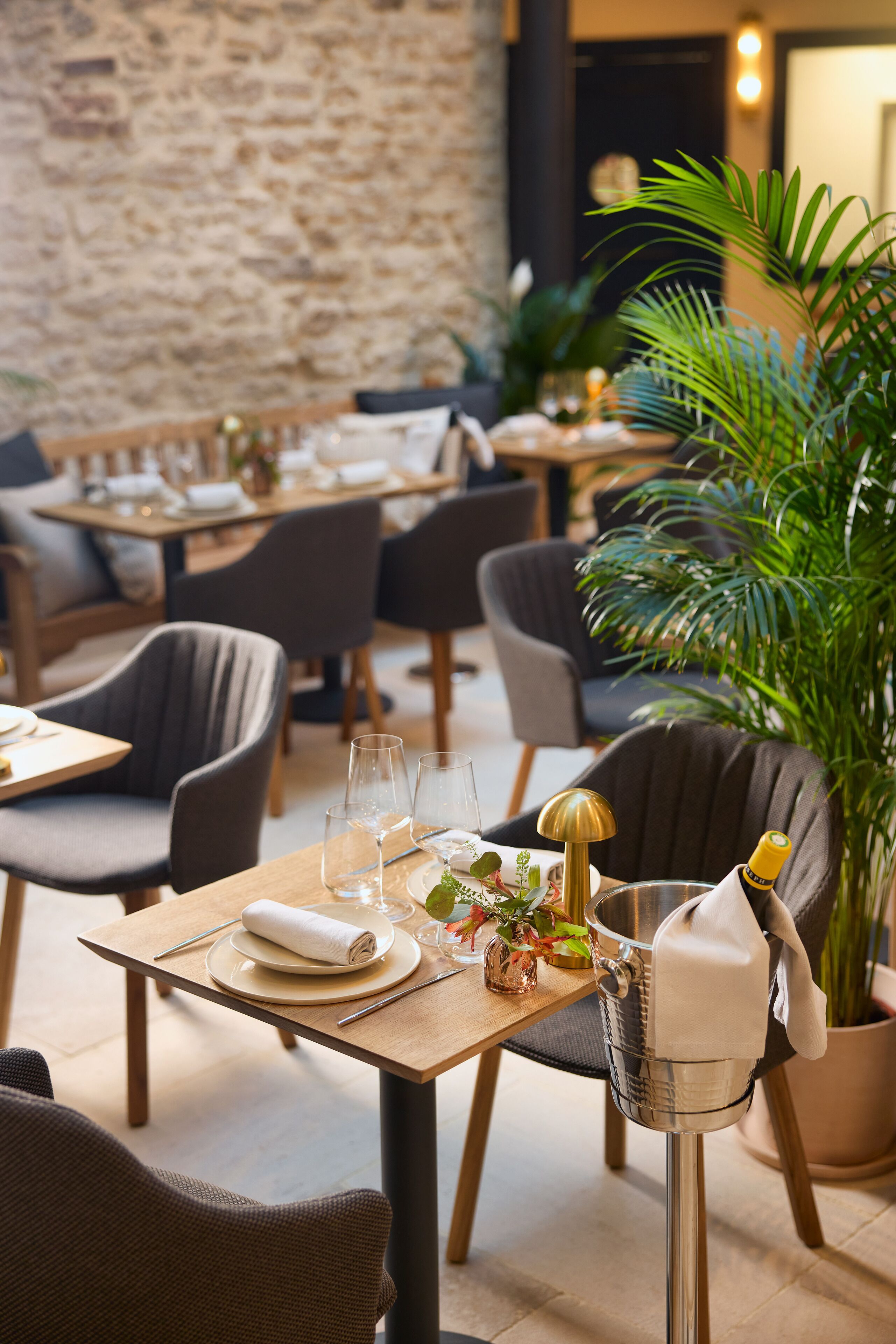 Un restaurante con mesas dispuestas para comer, sillas, una planta en maceta y una botella de champán sobre una mesa.