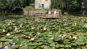 A round stone building with a green door, surrounded by a pond with lily pads and water lilies. - Château de la Preuille (Montaigu-Vendée)