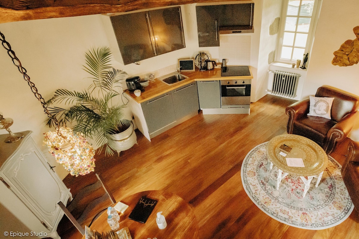 Un vaste salon doté d’un plancher en bois, d’une table basse ronde, d’un canapé et d’une table à manger avec des chaises. Il y a également un coin cuisine avec une cuisinière, un évier et des placards. Une grande fenêtre laisse entrer la lumière naturelle, et une plante en pot apporte une touche de verdure.